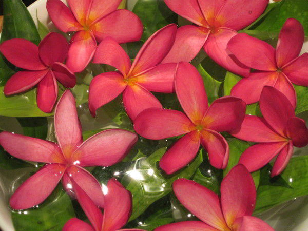 Марина Курганова