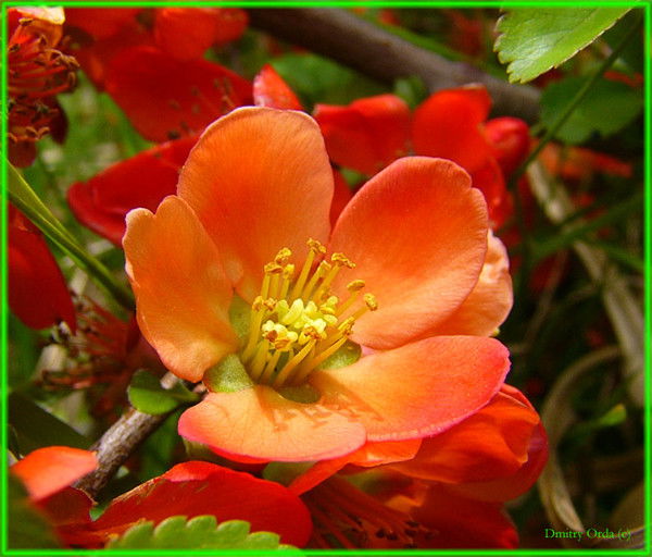 Ирина Маслова