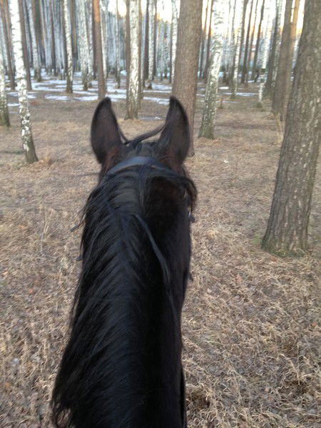 Дианка Плотникова