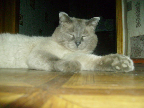 Андрей Банзаров