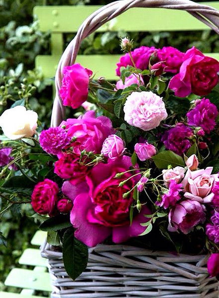 Майгуль Ниязова