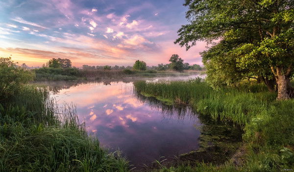 Алексей Веселый