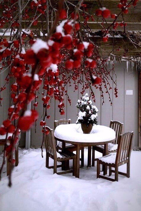 Аделя Дасаева