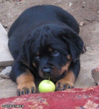 Юлия Каргаполова