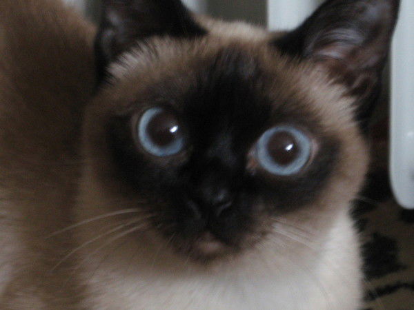 Наталья Кузьмина