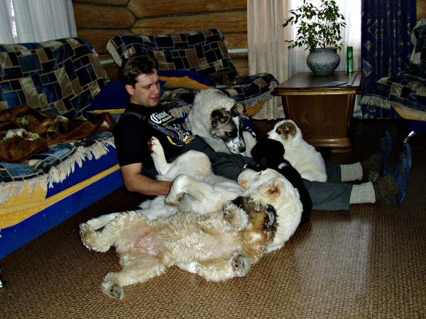 Дмитрий Лямин