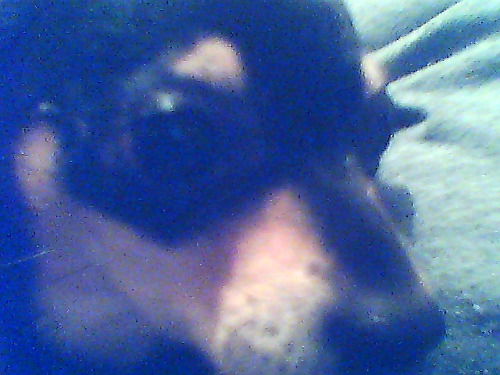 Александр Кожемякин