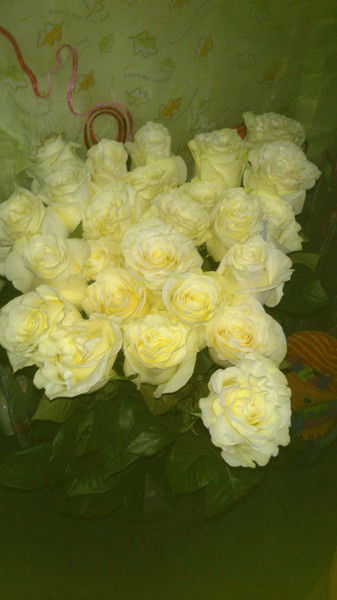 Екатерина Воронова