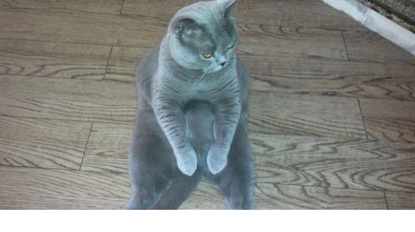 Владимир Суханов