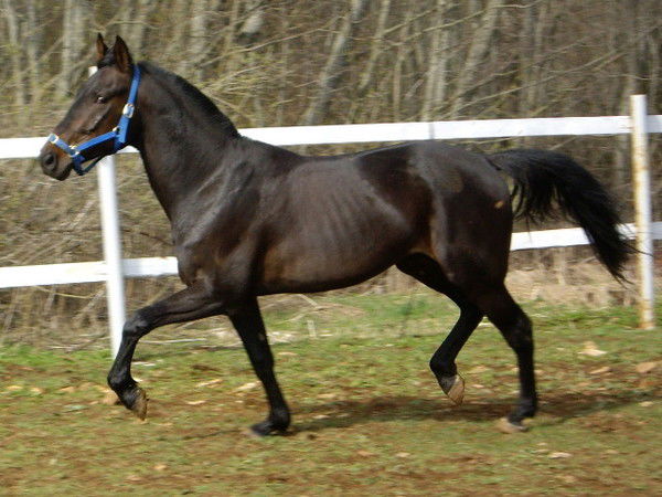 Аманжол Жумахметов