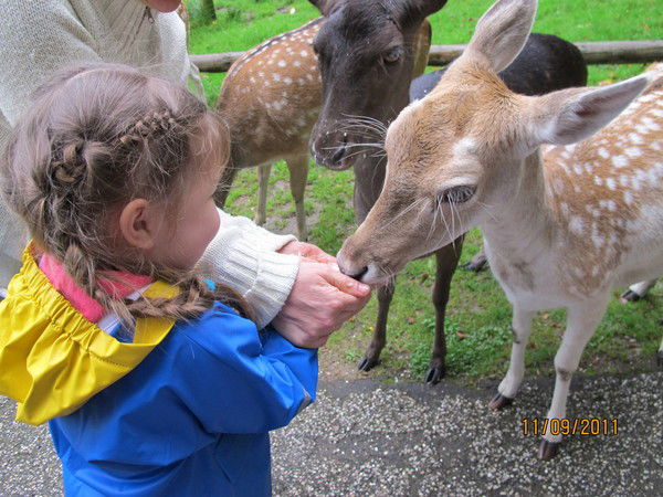 Лариса Гуменюк