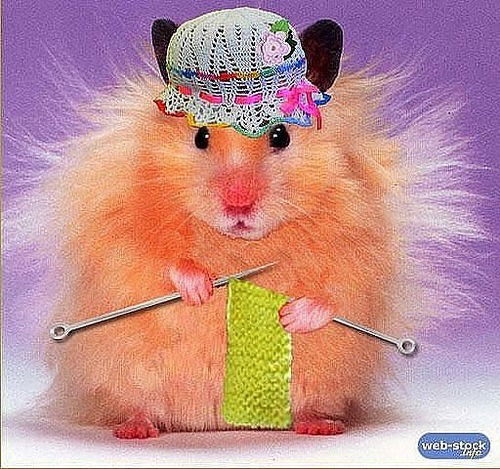 Денис Дубовицкий