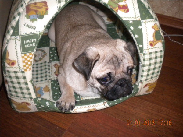 Ульяна Белова