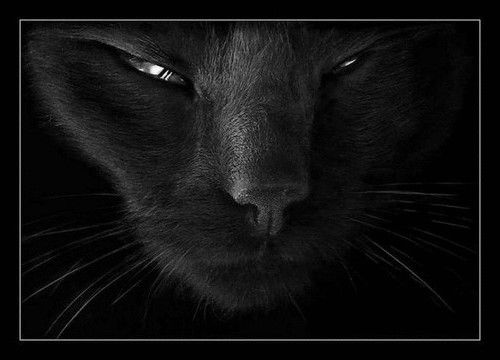 Кристина Швецова