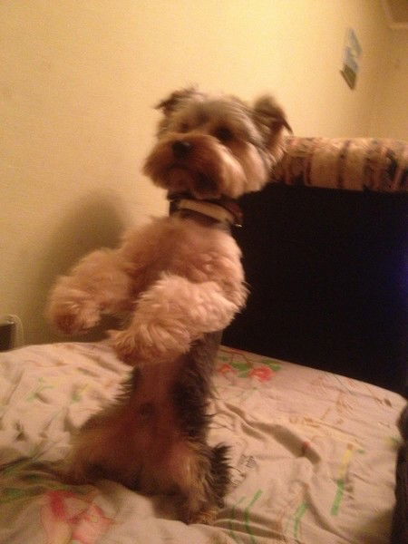 Самвел Аршакян