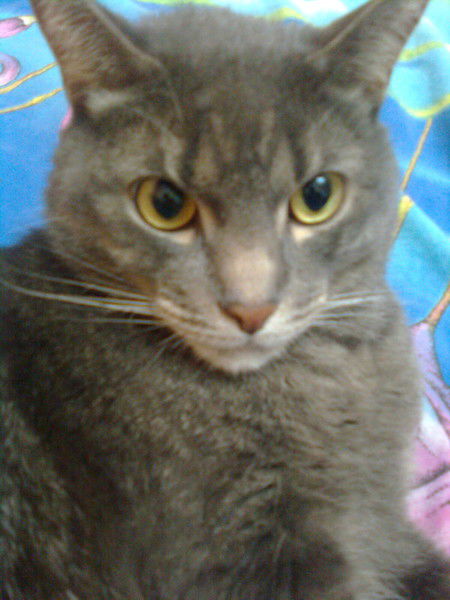 Татьяна Нестерова