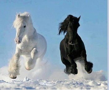 Эсенбек Эсенгожоев