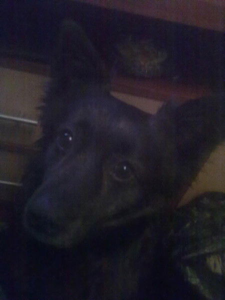 Света Руденко