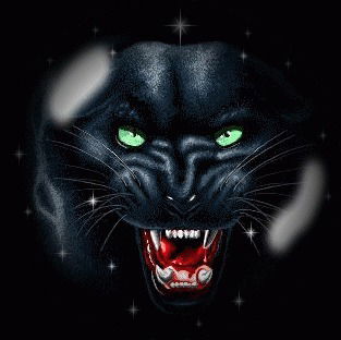 Владимир Спирин