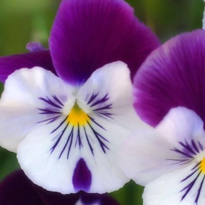 Муножат Бекпулатова