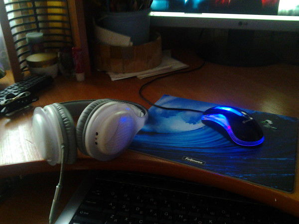 Дарина Федосеева