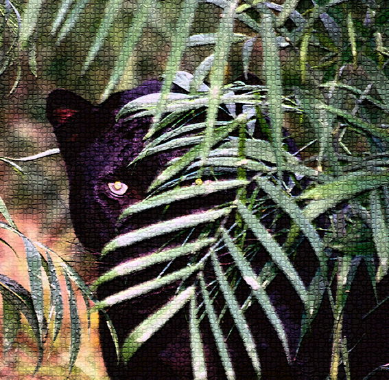 Ирина Пашкова