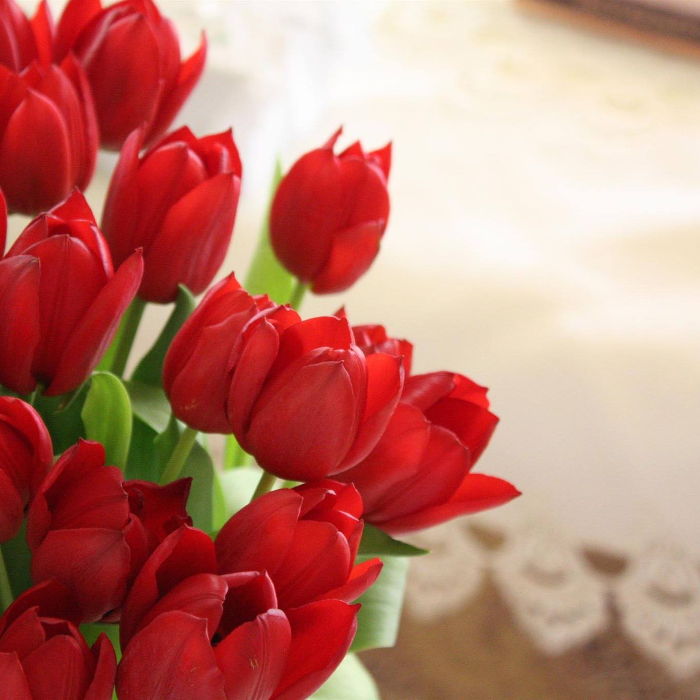 Елена Премудрая