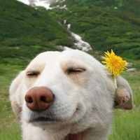 Александра Бычковская