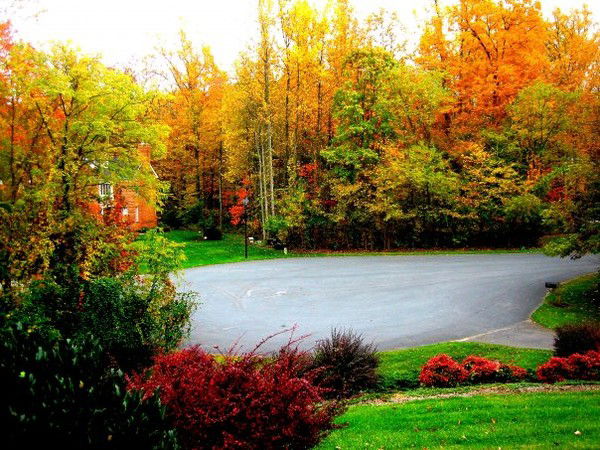 Ангела Меркель