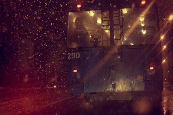 Максим Кайдалов