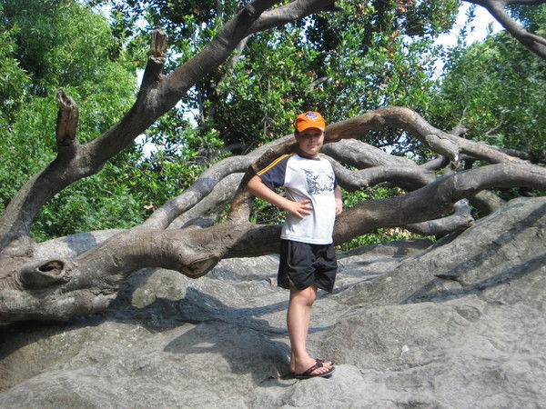 Даниил Шевченко