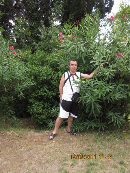 Николай Бальмели