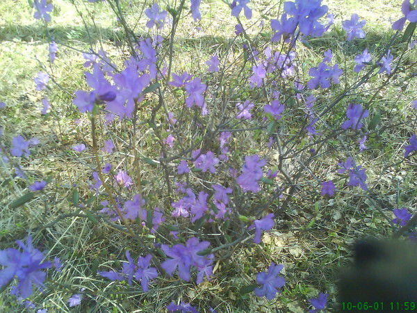 Василий Шунков