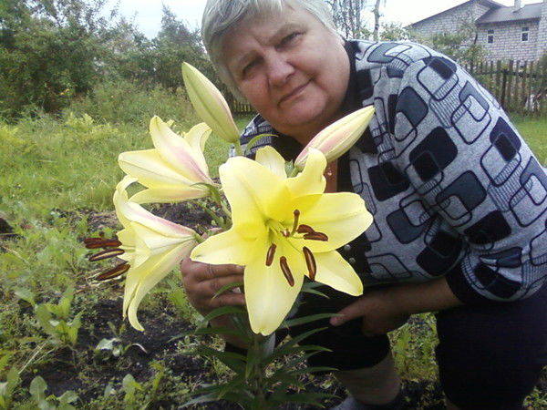 Наталья Берестовская