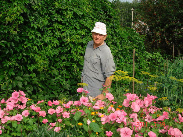 Владислав Колесников