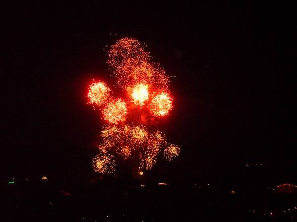 Евгений Елисеев