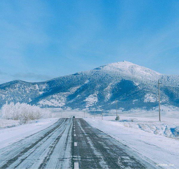 Нургуль Алтынбекова