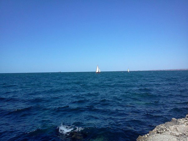 Любовь Николаенко