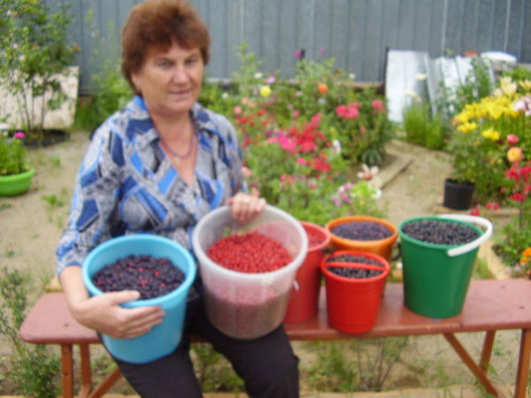 Любовь Яковлева