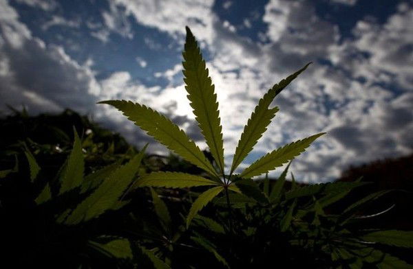 Виталий Петров