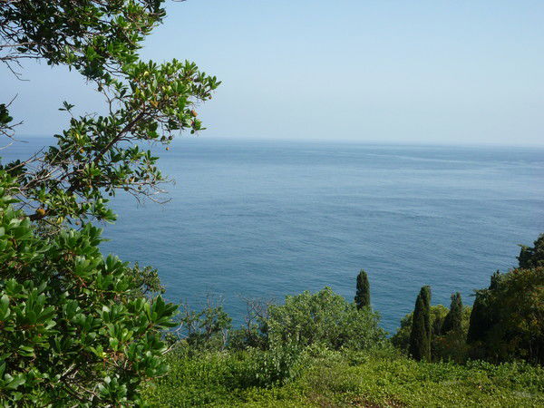 Марина Советова