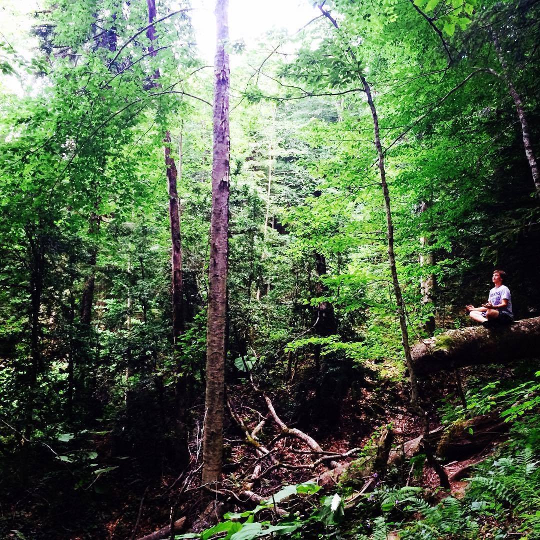 Шурка Подскребалин