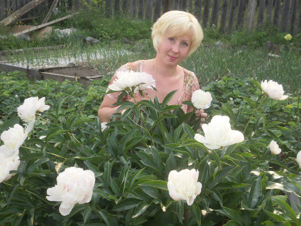 Евгения Фогель