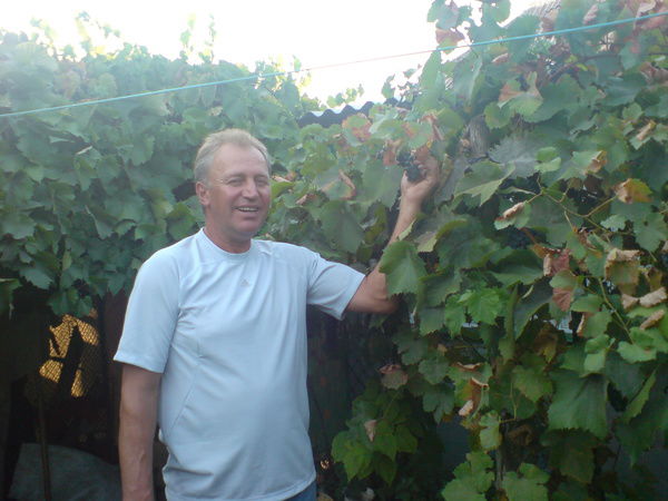 Владимир Кузьменков