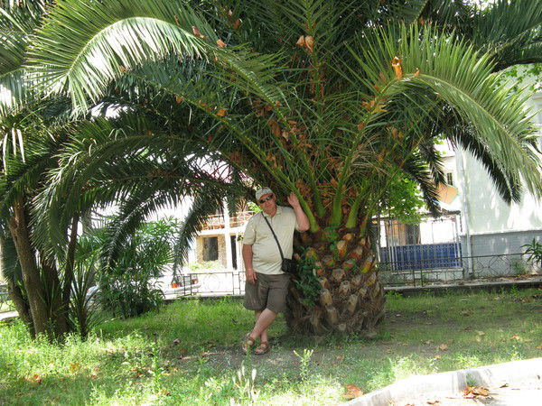 Артем Ермоленко