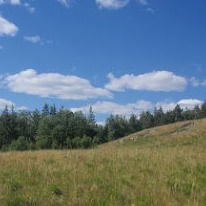 Светлана Иванова