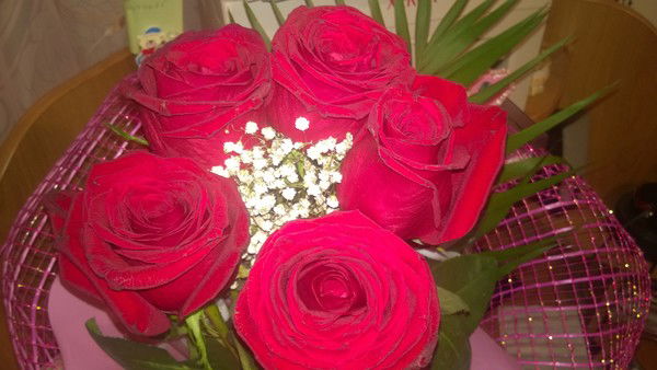 Марина Привалова