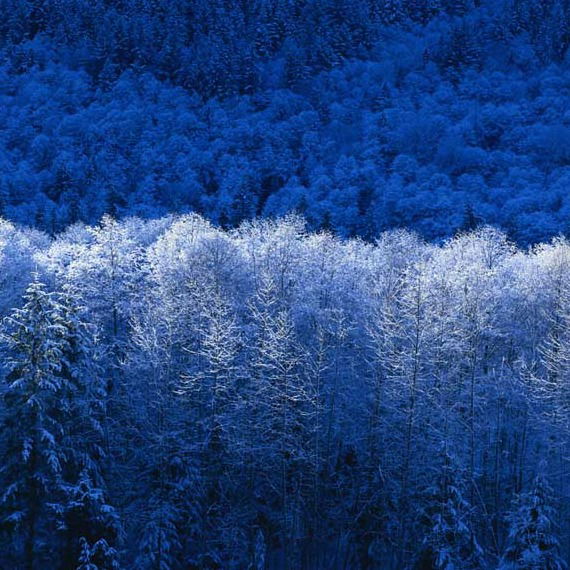 Юляшка Владимировна