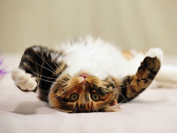 Мария Простова