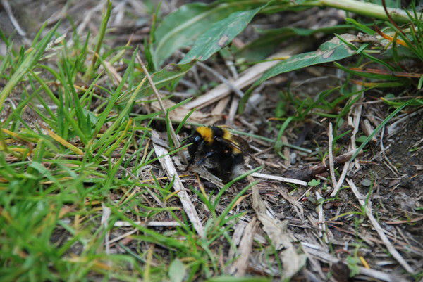 Гульнара Куанышбай